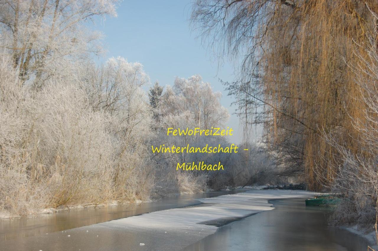 Fewofreizeit Rheinau Bagian luar foto