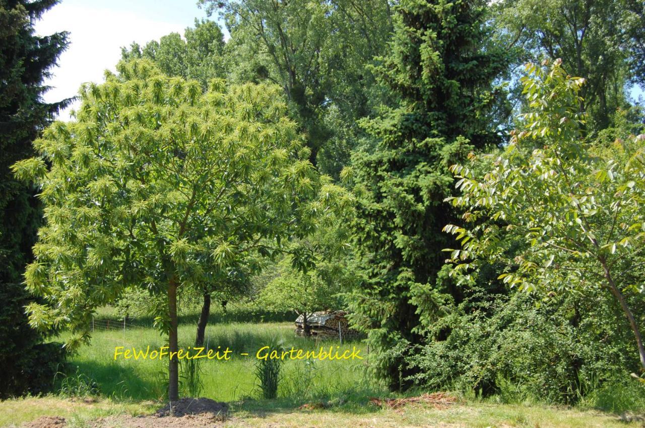 Fewofreizeit Rheinau Bagian luar foto